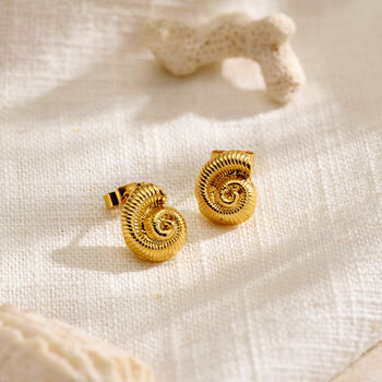 Mini Nautilus Shell Stud Earrings, 3 of 5