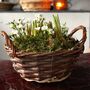 Spring Flower Basket With Or W/Out Candles Gift Basket, thumbnail 10 of 11