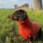 Personalised Pure Cashmere Dog Jumper Sweater, thumbnail 1 of 12