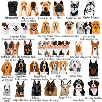 Bold Dog Breed Premium Illustrated Name Tag, 2 of 12