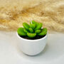 Succulent Candles In White Ceramic Pots, thumbnail 8 of 10