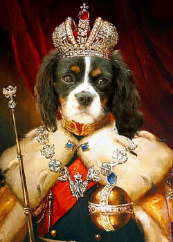 Renaissance Pet Portrait, 10 of 12