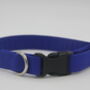 Bright Blue Dog Collar, thumbnail 1 of 12