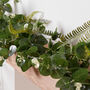 Fairytale Forest Christmas Garland, thumbnail 2 of 2