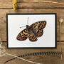 U Is For Uncompaghre Butterfly Illustration Print, thumbnail 1 of 6