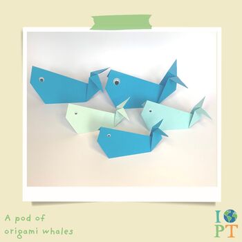 Children's Eco Activity Box: Brilliant Blue Whales, 6 of 11