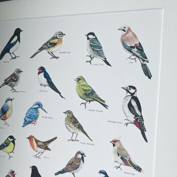 British Birds Illustrated Print, 3 of 8