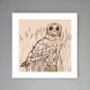 'Short Eared Owl' Print, thumbnail 1 of 3