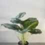 Artificial Calathea Plant In Black Pot, thumbnail 4 of 6