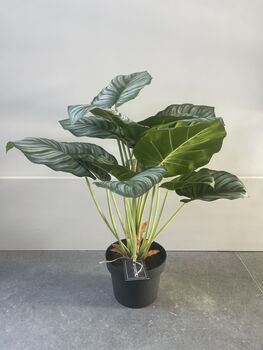 Artificial Calathea Plant In Black Pot, 4 of 6