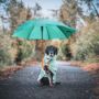 Luxury Dog Drying Coat, thumbnail 7 of 12