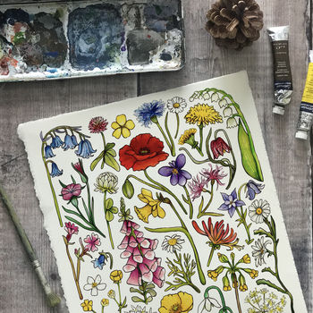 Wildflowers Of Britain Art Blank Greeting Card, 7 of 12
