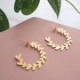 Gold Plated Olive Branch Leaf Hoop Stud Earrings, thumbnail 1 of 4