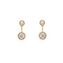Salisbury Rhodium, Gold Or Rose Gold Plated Earrings, thumbnail 4 of 11