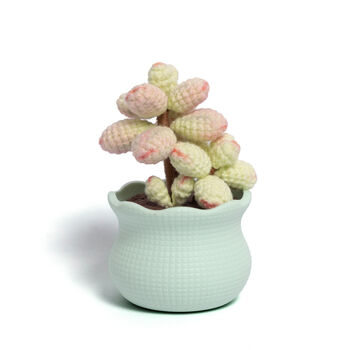Tranquil Crochet Succulent Plants, 7 of 12