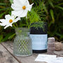 Grow Your Own Bouquet With Designer Vase Gift Set, thumbnail 8 of 11