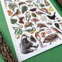 Hedgerow Wildlife Of Britain Watercolour Postcard, thumbnail 9 of 12