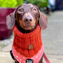 Pumpkin Orange Roll Top Dog Snood, thumbnail 1 of 4