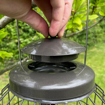 Squirrel Proof Hanging Nut And Fatball Bird Feeders, 8 of 8