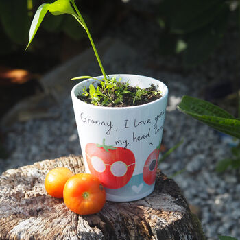 Tomato Plant Pot Gift For Mums, 2 of 6
