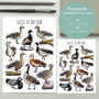 Geese Of Britain Watercolour Postcard, thumbnail 2 of 8