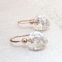 Rose Gold Plated Crystal Heart Earrings, thumbnail 1 of 3