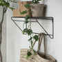 Industrial Metal Hat Rack With Five Coat Hooks, thumbnail 4 of 4