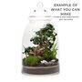 Xl Glass Terrarium Container With Glass Lid | H: 49 Cm, thumbnail 4 of 7