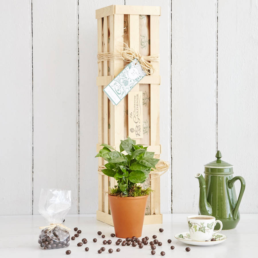Grow Your Own Coffee Gift Set, 1 of 8