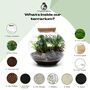 Large Globe Terrarium Kit With Bonsai | 'Portland', thumbnail 7 of 10