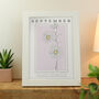 Personalised Birth Flower White A4 Framed Print, thumbnail 9 of 12
