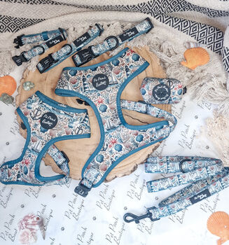 Shipwrecked Nautical Dog Harness, 7 of 11