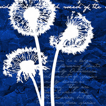 Dandelions Limited Edition Silhouette Print, 2 of 4
