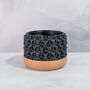 Carbon Transform Planter, thumbnail 3 of 4