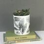 Personalised Leaf Print Ceramic Pot, thumbnail 5 of 11