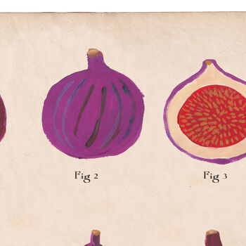 Botanical Humorous Fig Print, 2 of 7
