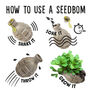 Foragebom Seedbom Edible Wild Herbs, thumbnail 6 of 7