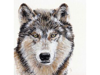 Wild Grey Wolf, Print Of Original Painting, 2 of 3
