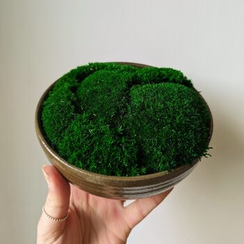 Preserved Moss In A Small Ceramic Handmade Bowl, 3 of 8