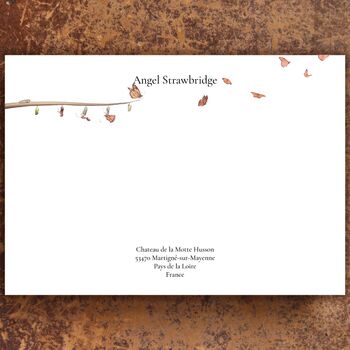 Butterflies And Cocoons Notecards, 2 of 3
