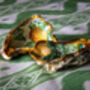 Two Stunning Decoupaged Shell Trinket Trays, thumbnail 1 of 4