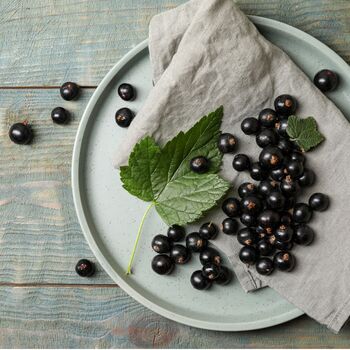 Fruit Plants Blackcurrant Wellington Bare Rooted, 3 of 5