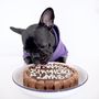 Dog Birthday Cake, thumbnail 3 of 5