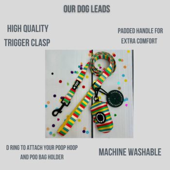 Multi Coloured Stripe Dog Lead, 4 of 4