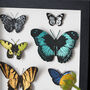 Handpainted Papercut Butterflies 3D Wall Art, thumbnail 9 of 9