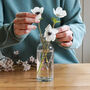 Personalised Family Birth Flower Stem Glass Vase, thumbnail 1 of 6