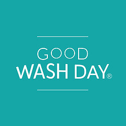 Good Wash Day Company Logo