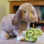 Personalised Crocheted Cuddly Toy Of Your Rabbit, thumbnail 2 of 5