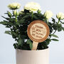 Thank You For Helping Me Shine Personalised Plant Marker, thumbnail 1 of 4