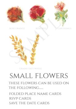 Sample Pack Original Botanical Wedding Stationery, 5 of 10